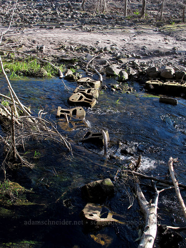trail crossing over Coldspring Creek [Toutle Trail, Mt. St. Helens National Volcanic Monument, Cowlitz County, Washington]