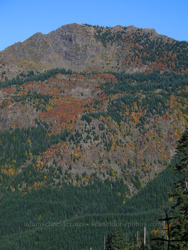 unnamed peak south of Castle Lake [Toutle Trail, Mt. St. Helens National Volcanic Monument, Cowlitz County, Washington]