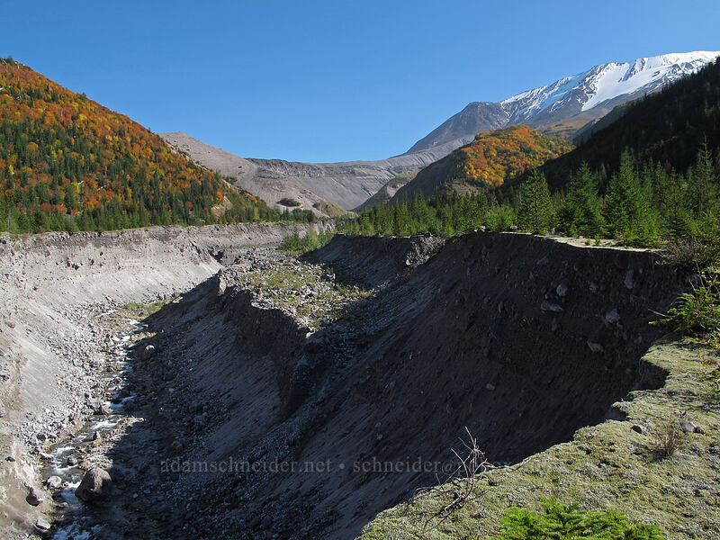 valley of the South Fork Toutle River [Loowit Trail, Mt. St. Helens National Volcanic Monument, Cowlitz County, Washington]