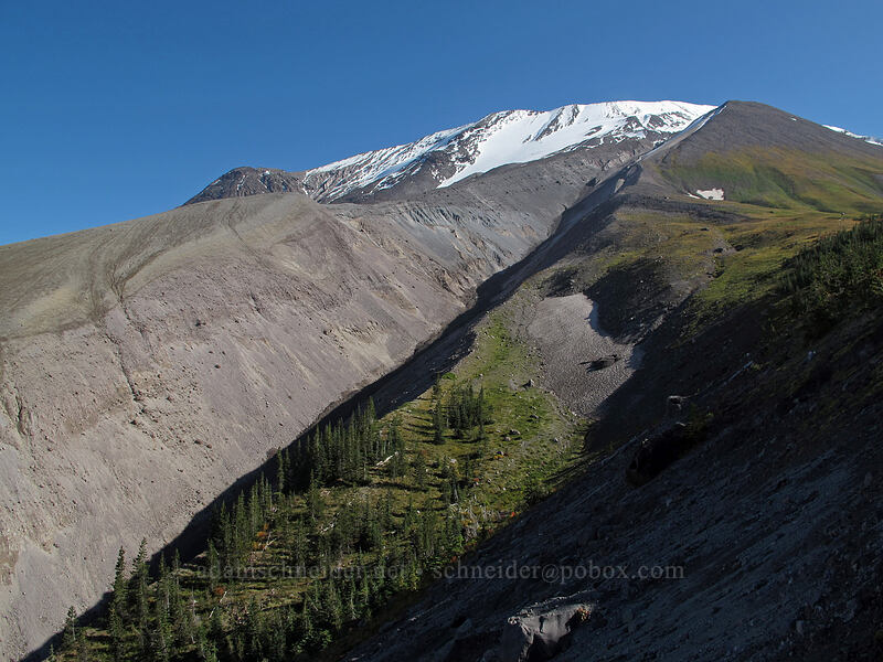 canyon on west-northwest side of Mount St. Helens [Loowit Trail, Mt. St. Helens National Volcanic Monument, Skamania County, Washington]