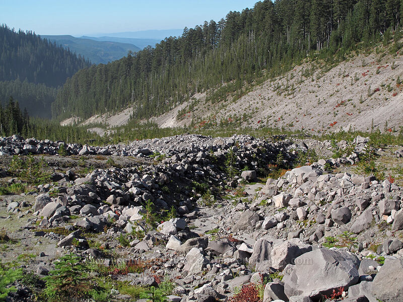 rocky channels in Sheep Canyon [Loowit Trail, Mt. St. Helens National Volcanic Monument, Skamania County, Washington]