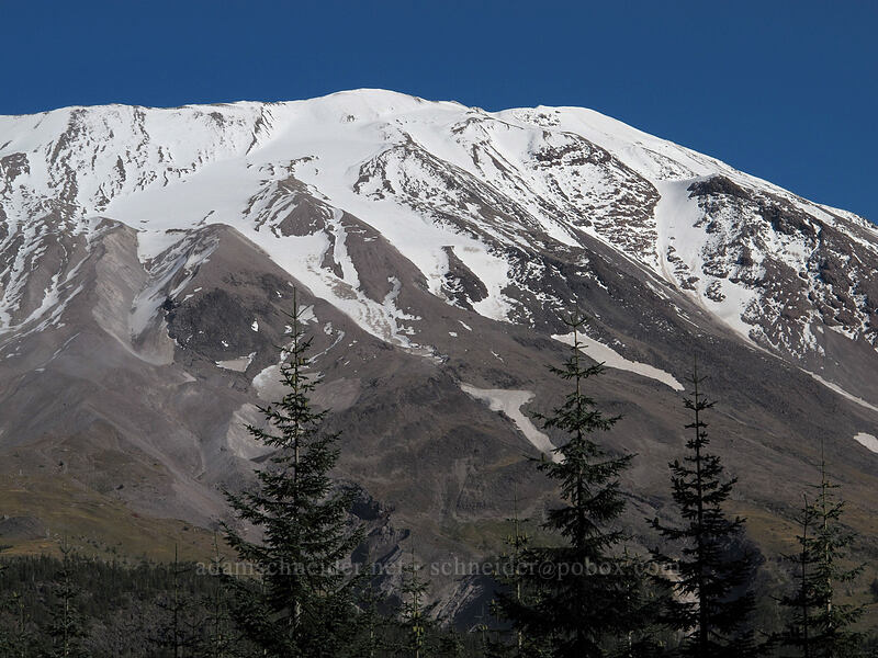 Mount St. Helens [Toutle Trail, Mt. St. Helens National Volcanic Monument, Cowlitz County, Washington]