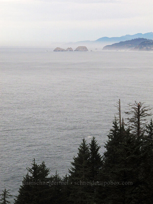 Three Arch Rocks [Cape Lookout State Park, Tillamook County, Oregon]