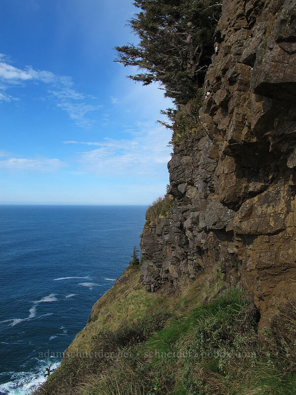 end of Cape Lookout [Cape Lookout State Park, Tillamook County, Oregon]