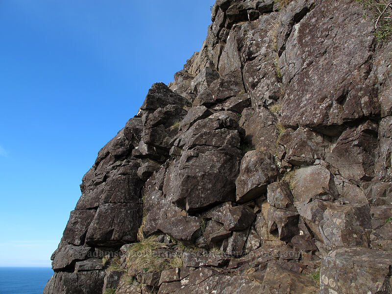 scramble trail at the end of Cape Lookout [Cape Lookout State Park, Tillamook County, Oregon]