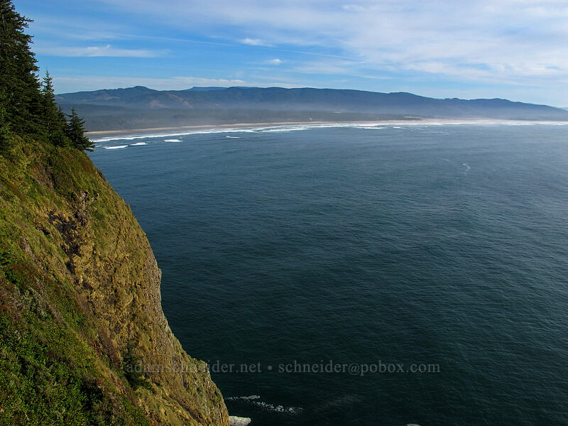 very steep hillside [Cape Lookout State Park, Tillamook County, Oregon]
