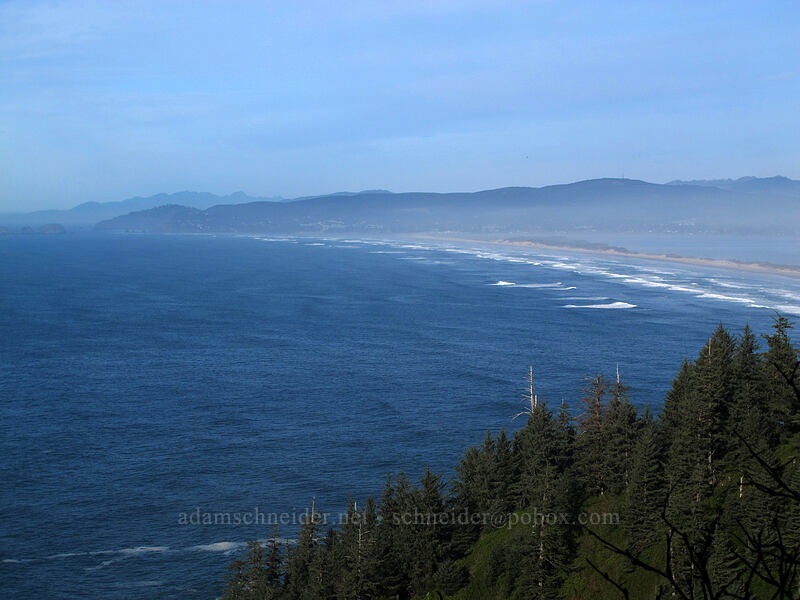 Netarts Spit [Cape Lookout State Park, Tillamook County, Oregon]