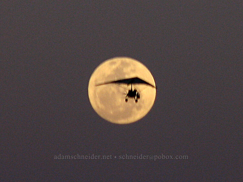 ultralight & the moon [Paseo Malecón, San Jose del Cabo, Los Cabos, Baja California Sur, Mexico]