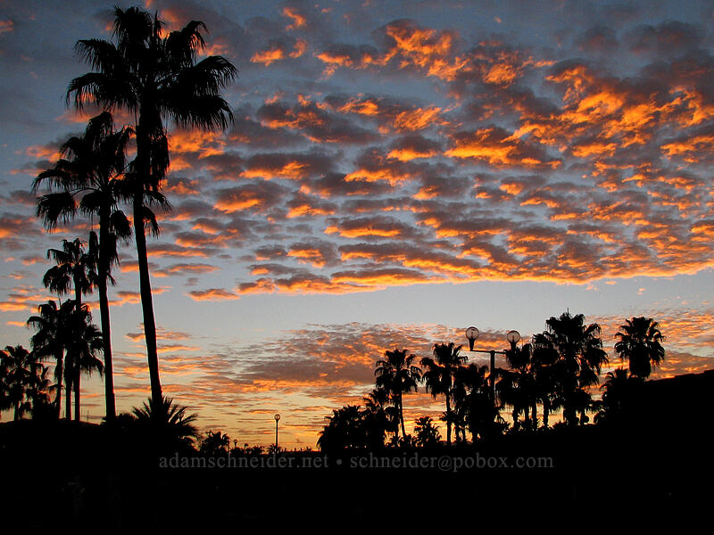 vivid sunset [Paseo Malecón, San Jose del Cabo, Los Cabos, Baja California Sur, Mexico]