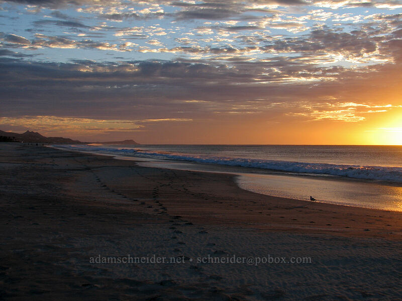 sunrise [Playa Hotelera, San Jose del Cabo, Los Cabos, Baja California Sur, Mexico]