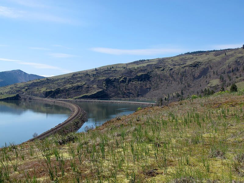 The Labyrinth [Catherine Creek, Klickitat County, Washington]