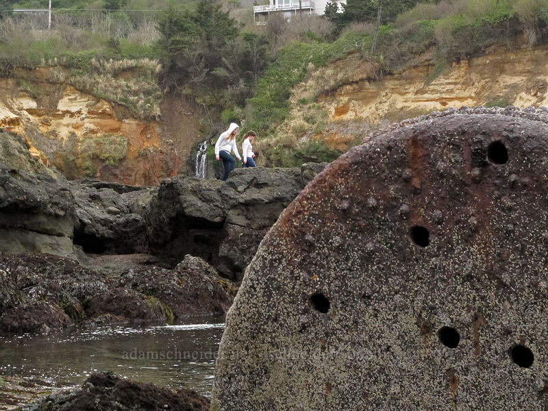 tidepooling [Boiler Bay, Lincoln County, Oregon]