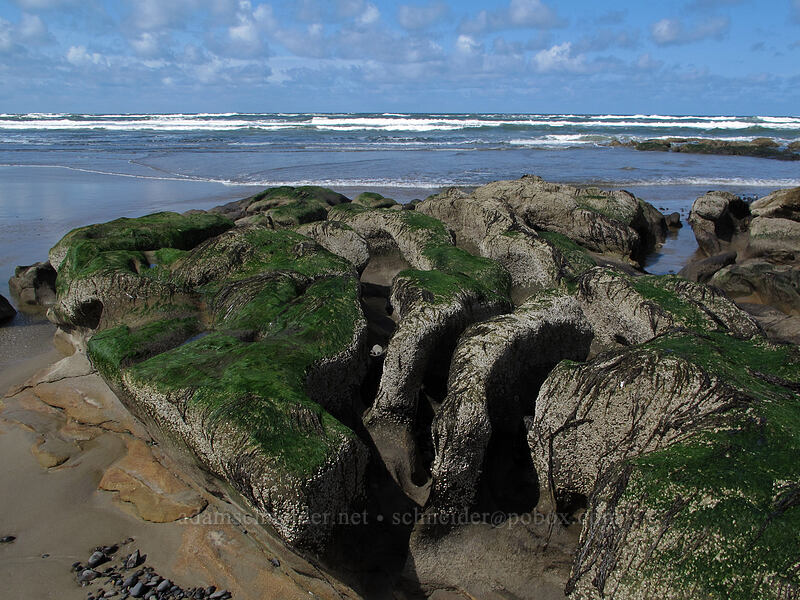 wave-sculpted rocks [Arcadia Beach, Cannon Beach, Clatsop County, Oregon]