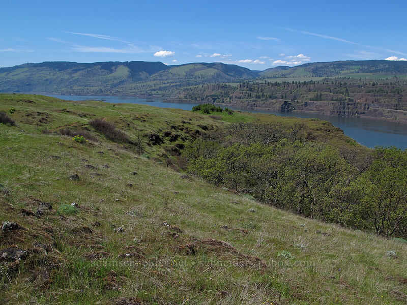 Columbia River [Tom McCall Preserve, Wasco County, Oregon]