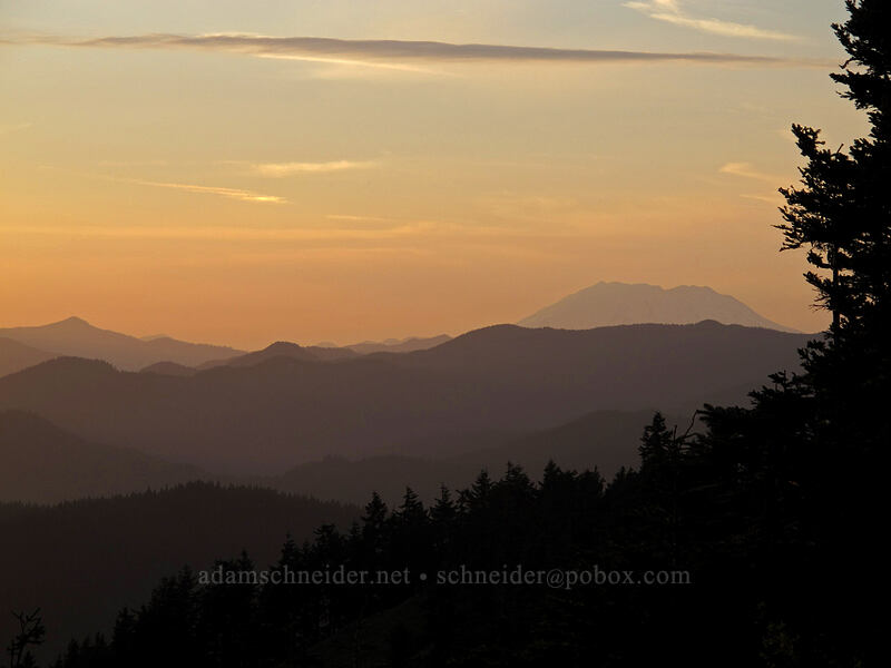 Mt. St. Helens at sunset [Dog Mountain Trail, Gifford Pinchot National Forest, Skamania County, Washington]