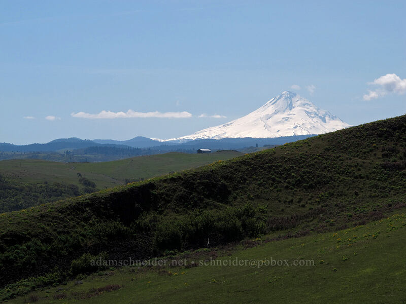 Mount Hood [Seven-Mile Hill, Chenoweth, Wasco County, Oregon]
