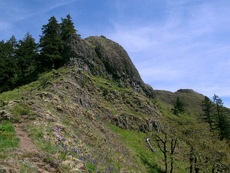 cliffs below Munra Point [Munra Point, Columbia River Gorge, Multnomah County, Oregon]