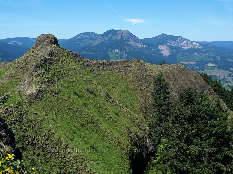 Munra Point, Table Mountain, & Greenleaf Peak [Munra Point, Columbia River Gorge, Multnomah County, Oregon]