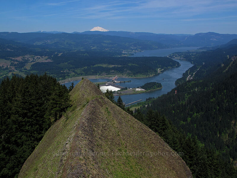 Mount Adams & Bonneville Dam [Munra Point, Columbia River Gorge, Multnomah County, Oregon]