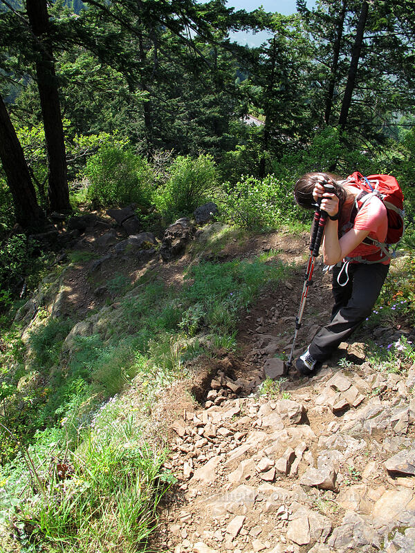very steep trail [Munra Point Trail, Columbia River Gorge, Multnomah County, Oregon]