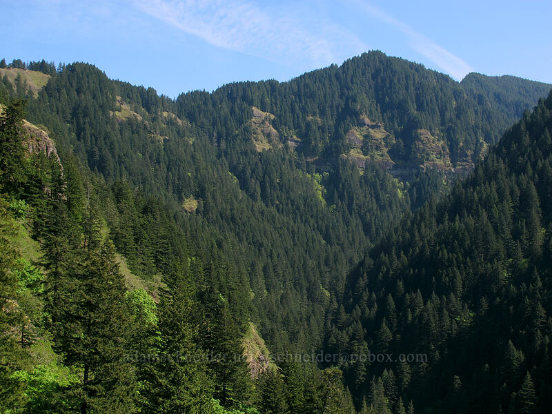 cliffs above Moffett Creek [Munra Point Trail, Columbia River Gorge, Multnomah County, Oregon]