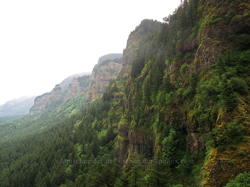 Gorge cliffs [Rock of Ages Arch, Columbia River Gorge, Multnomah County, Oregon]