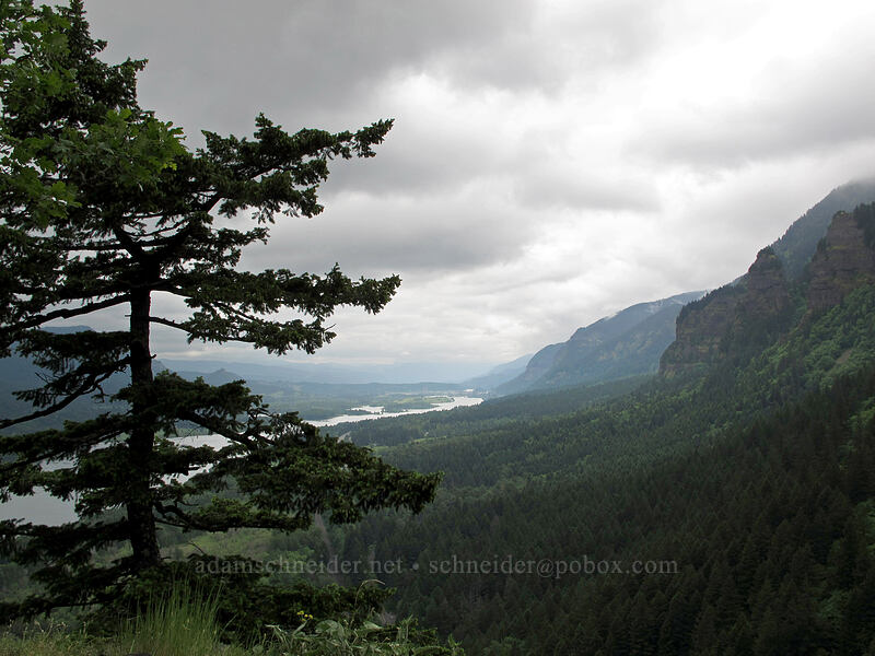 Gorge view [Rock of Ages Arch, Columbia River Gorge, Multnomah County, Oregon]