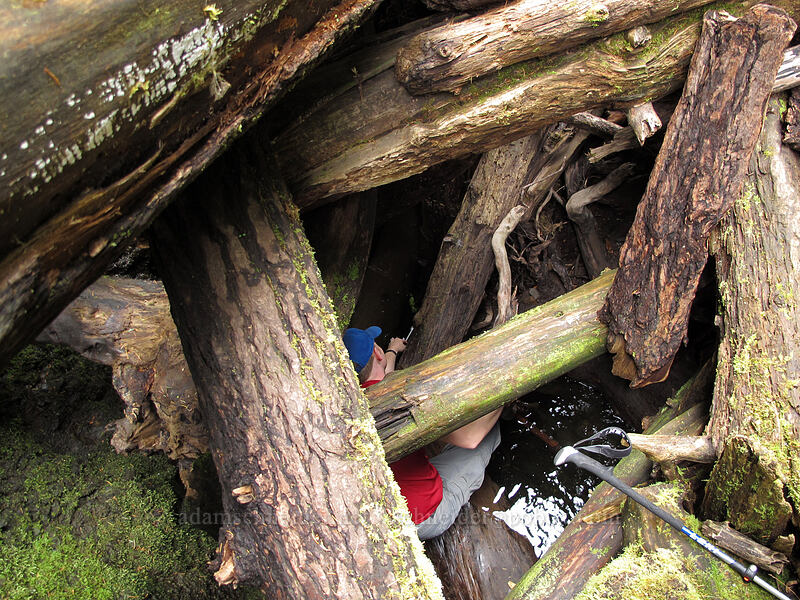 trekking pole rescue mission [Oneonta Gorge, Columbia River Gorge, Multnomah County, Oregon]
