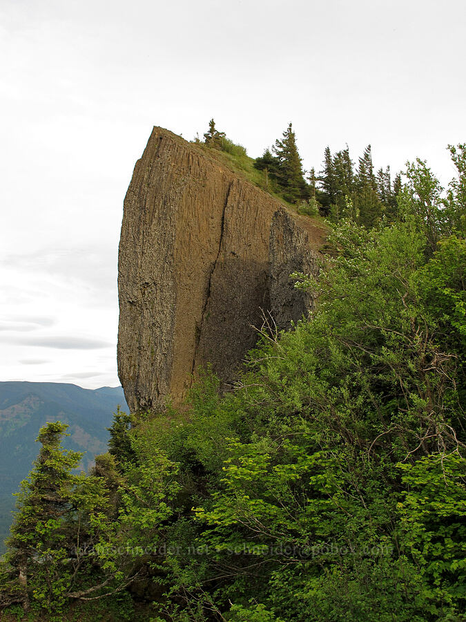 sharp cliffs [Heartbreak Ridge, Table Mountain NRCA, Skamania County, Washington]