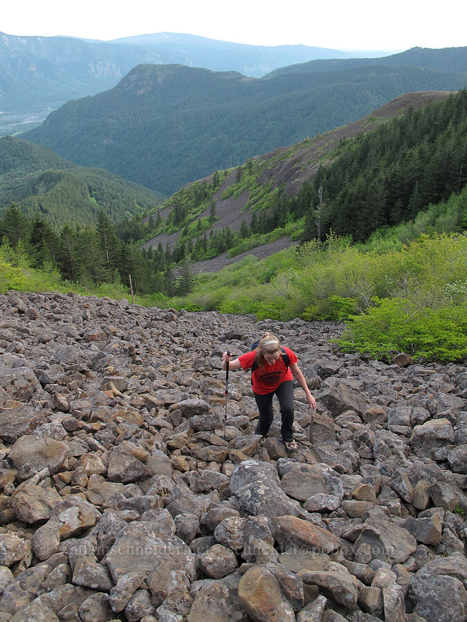Table Mountain Talus Slope, with Hamilton Mountain in the distance [Heartbreak Ridge Trail, Table Mountain NRCA, Skamania County, Washington]