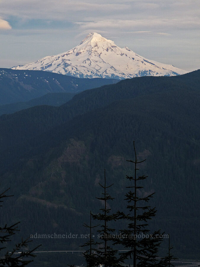 Mount Hood [Heartbreak Ridge Trail, Table Mountain NRCA, Skamania County, Washington]