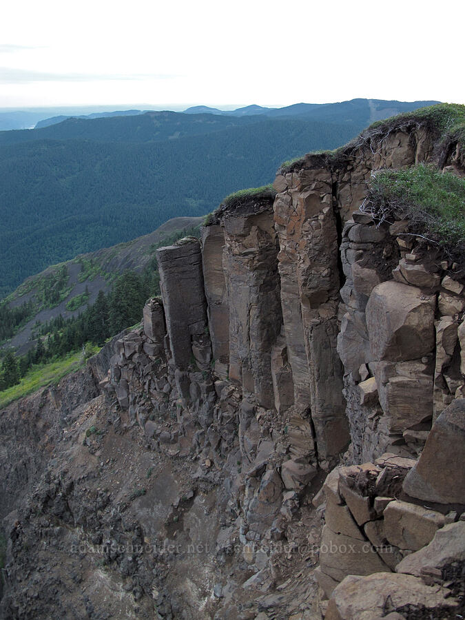 edge of Table Mountain [Table Mountain summit, Table Mountain NRCA, Skamania County, Washington]