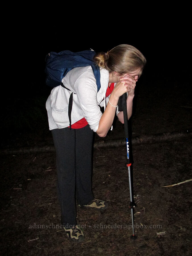 Allison [Aldrich Butte Road, Gifford Pinchot National Forest, Skamania County, Washington]