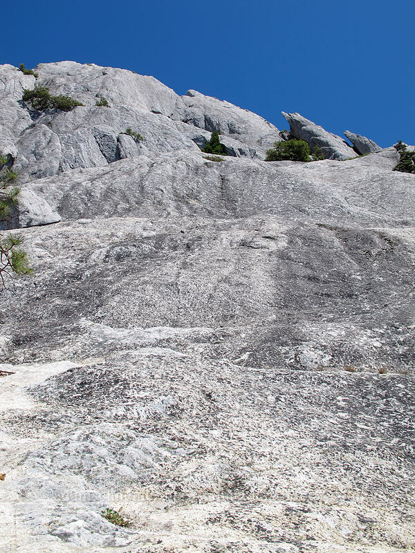 looking up the side of Castle Dome [Castle Dome saddle, Castle Crags Wilderness, Shasta County, California]