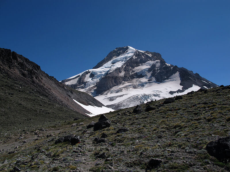 Barrett Spur & Mount Hood [above Wy'East Basin, Mt. Hood Wilderness, Hood River County, Oregon]