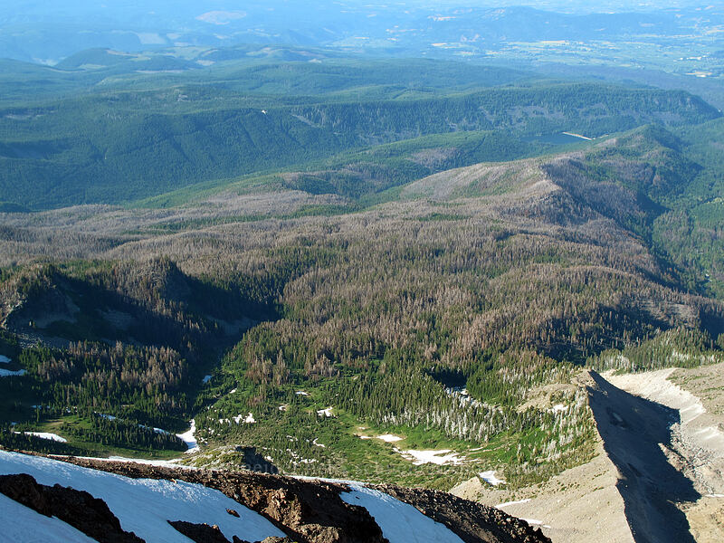 Dollar Lake Fire damage in Elk Cove & Pinnacle Ridge [Barrett Spur, Mt. Hood Wilderness, Hood River County, Oregon]