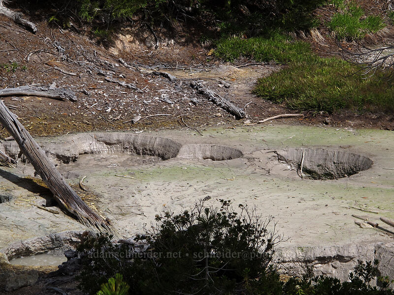 hot mud springs [Devil's Kitchen, Lassen Volcanic National Park, Plumas County, California]