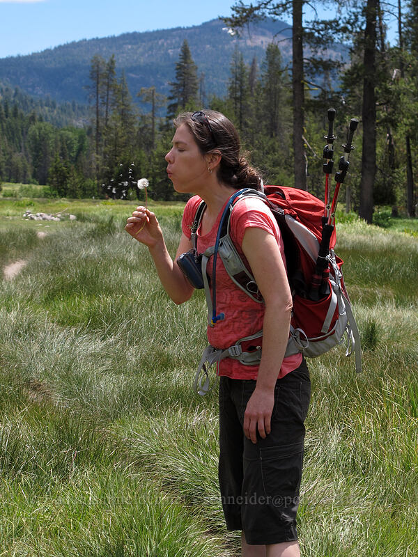 Tracy & Mt. Harkness [Drakesbad Meadow, Lassen Volcanic National Park, Plumas County, California]
