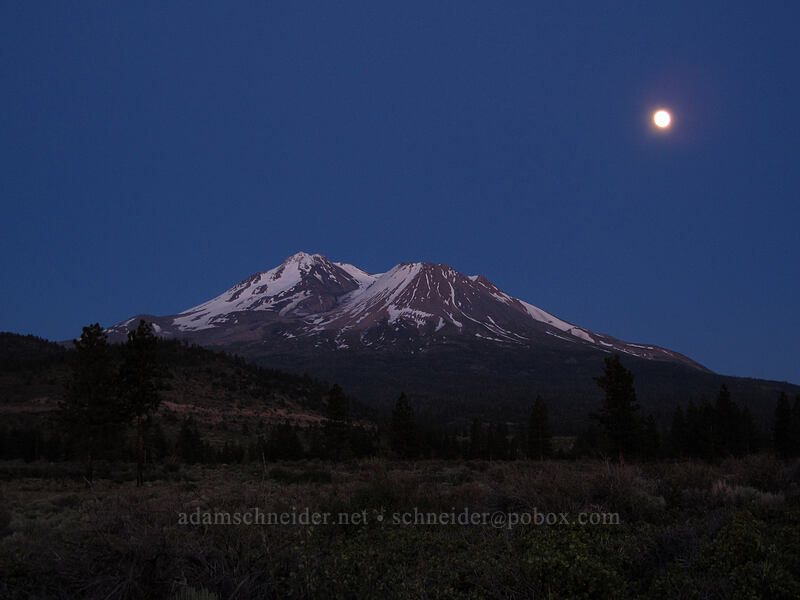 moon over Mt. Shasta [U.S. Highway 97, Shasta-Trinity National Forest, Siskiyou County, California]