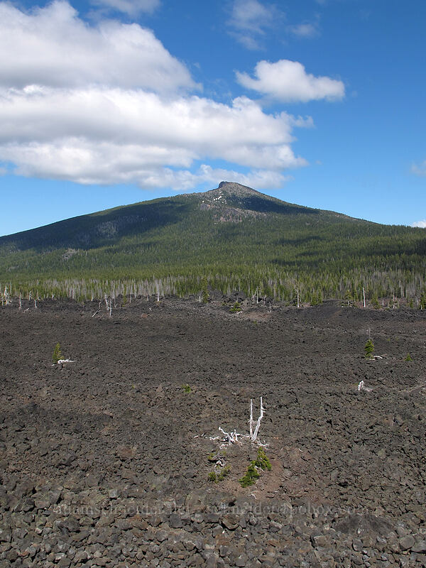 Black Crater & Belknap lava flows [Dee Wright Observatory, Willamette National Forest, Deschutes County, Oregon]