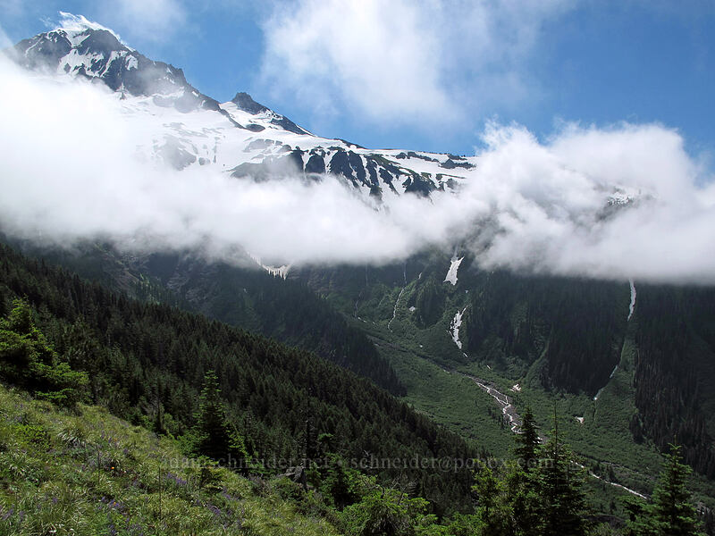 Mount Hood [Bald Mountain Ridge, Mt. Hood Wilderness, Clackamas County, Oregon]