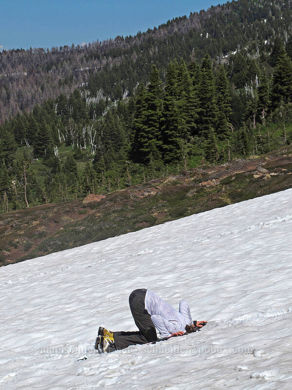 Tracy [McNeil Point, Mt. Hood Wilderness, Hood River County, Oregon]