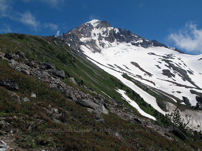 Mount Hood [McNeil Point, Mt. Hood Wilderness, Clackamas County, Oregon]