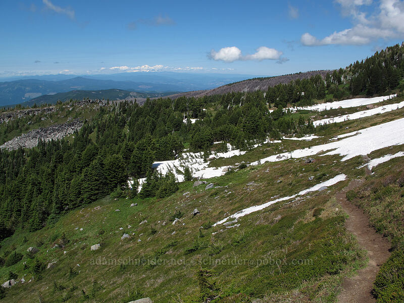 view to the north [McNeil Point Trail, Mt. Hood Wilderness, Hood River County, Oregon]