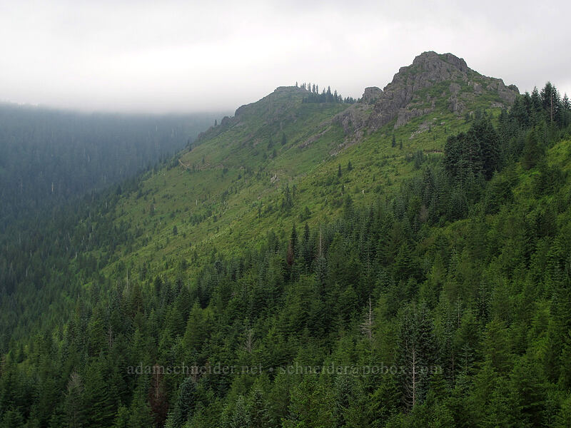 Pyramid Rock [Grouse Vista Trail, Yacolt Burn State Forest, Clark County, Washington]