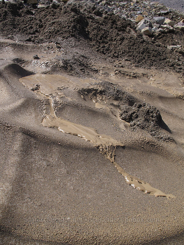mud flowing on ice [Eliot Glacier, Mt. Hood Wilderness, Hood River County, Oregon]