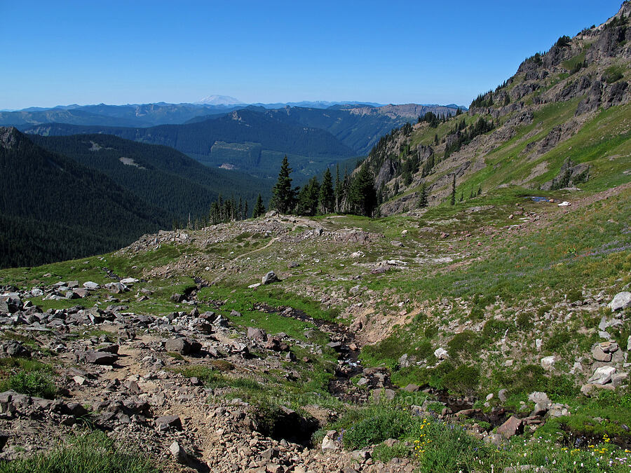 Jordan Creek & Mt. St. Helens [Jordan Basin, Goat Rocks Wilderness, Lewis County, Washington]