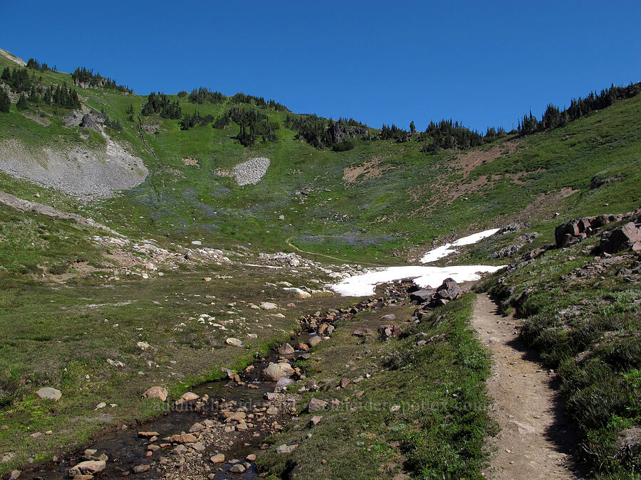 the top of Jordan Basin [Jordan Basin, Goat Rocks Wilderness, Lewis County, Washington]