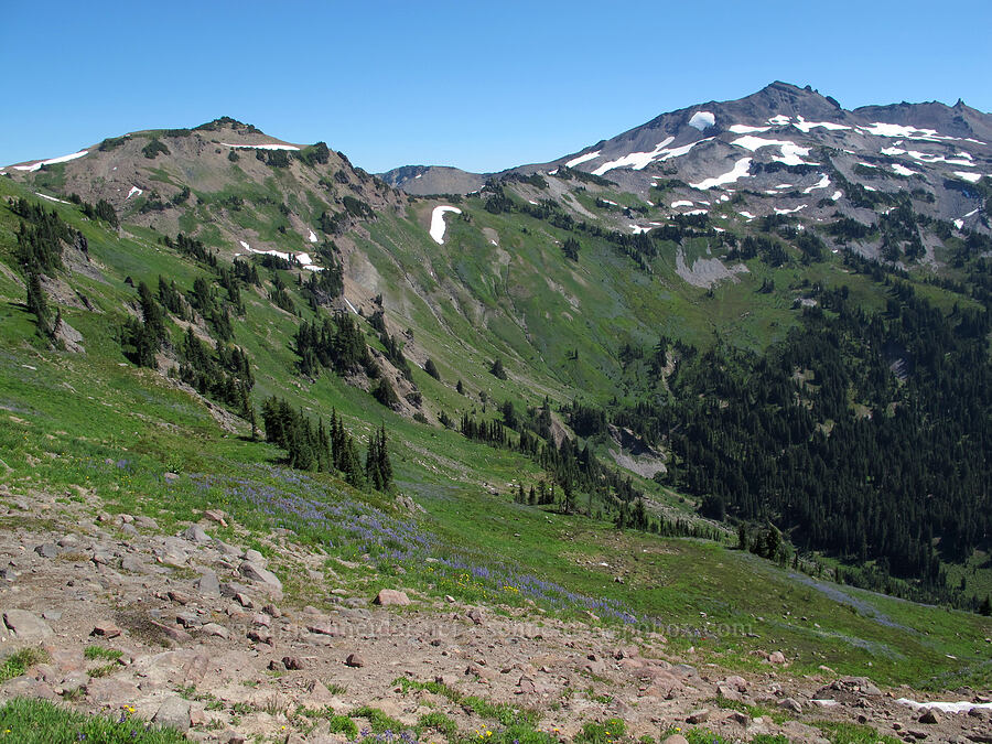 Goat Creek Valley & Old Snowy Mountain [Goat Ridge Trail, Goat Rocks Wilderness, Lewis County, Washington]