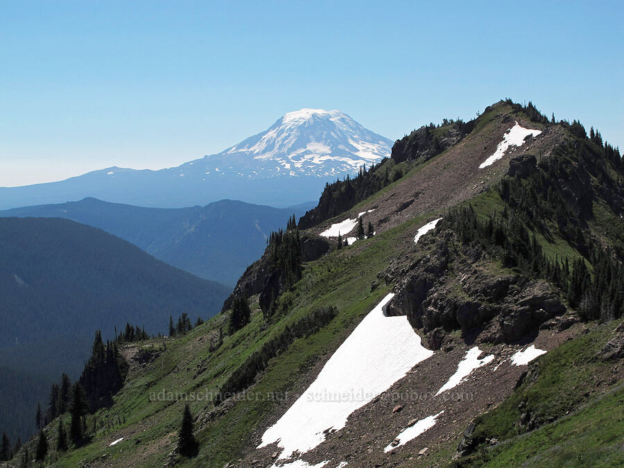 Mount Adams & Goat Ridge [Lily Basin Trail, Goat Rocks Wilderness, Lewis County, Washington]